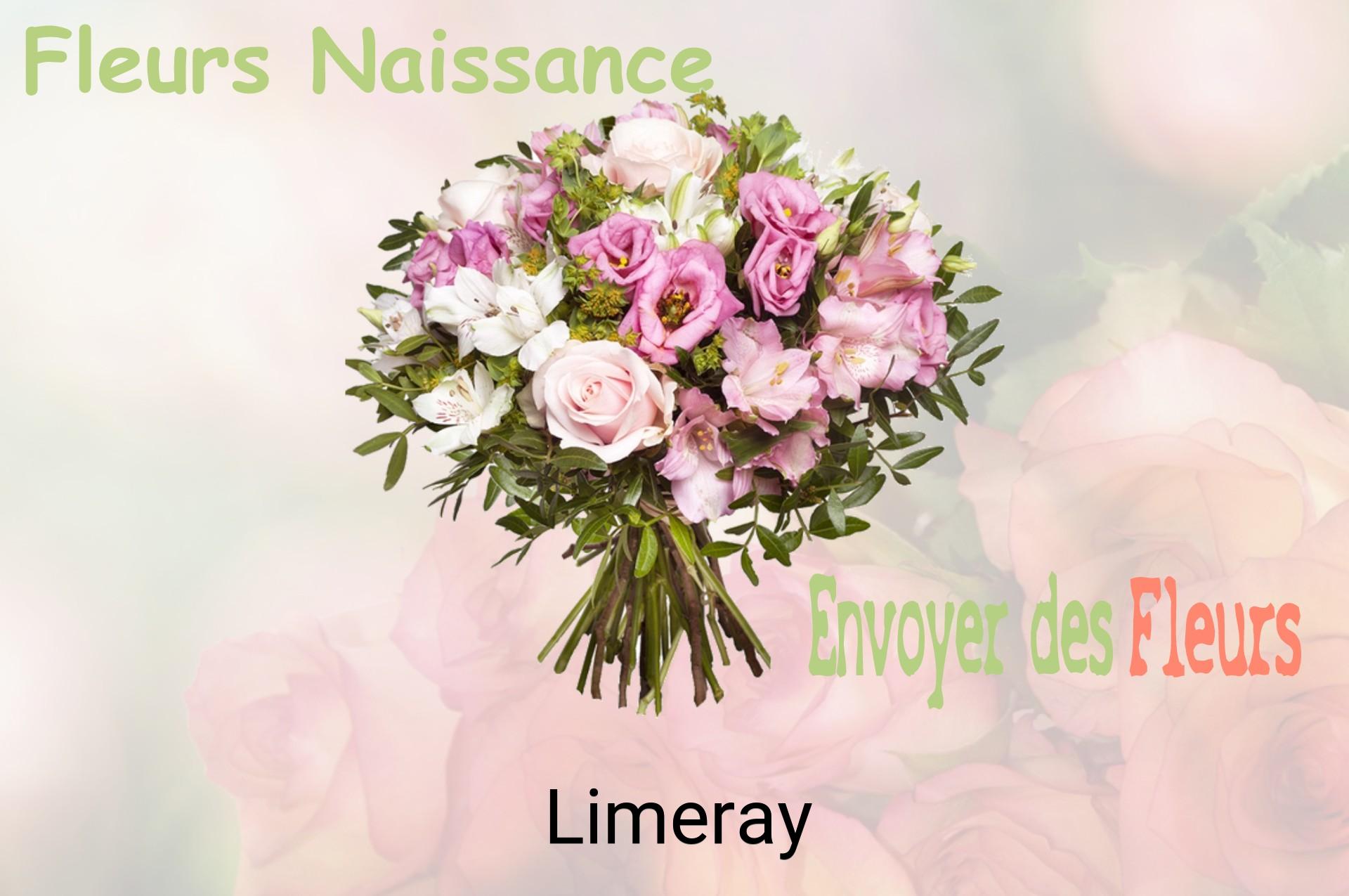 Bouquet de fleurs de naissance livré à Limeray